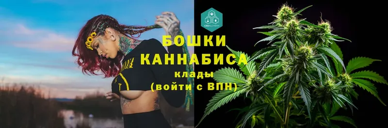 Бошки марихуана LSD WEED  Кострома 